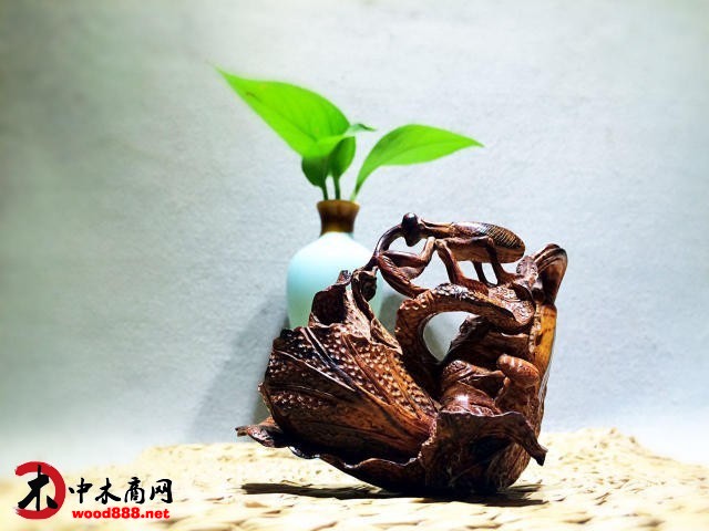 中木商網(wǎng)