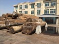 柏能貿易有限公司-產品圖片