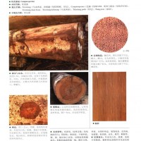 南洋地區(qū)進(jìn)口木材名稱：坎諾漆