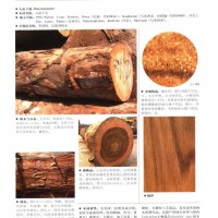 南洋地區(qū)進(jìn)口木材名稱：人面子