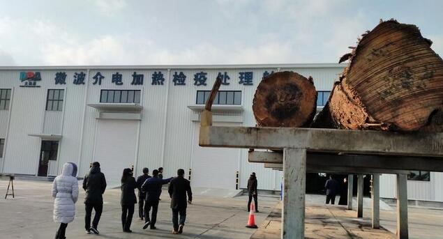 我國首創(chuàng)世界微波檢疫處理原木技術在遼寧大窯灣投入使用