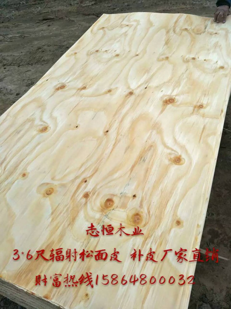 旋切輻射松面皮