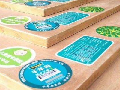 臨沂市環保局領導一行前往千年舟等木企調研