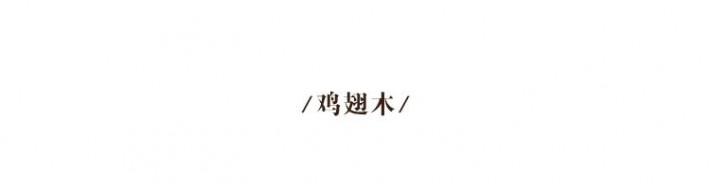 雞翅木因其花紋秀美似雞翅膀而得名