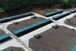 中俄木材加工交易中心逐步進入常態化運營